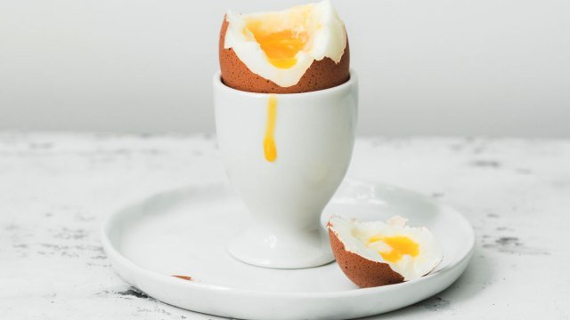 How much protein is in an egg?